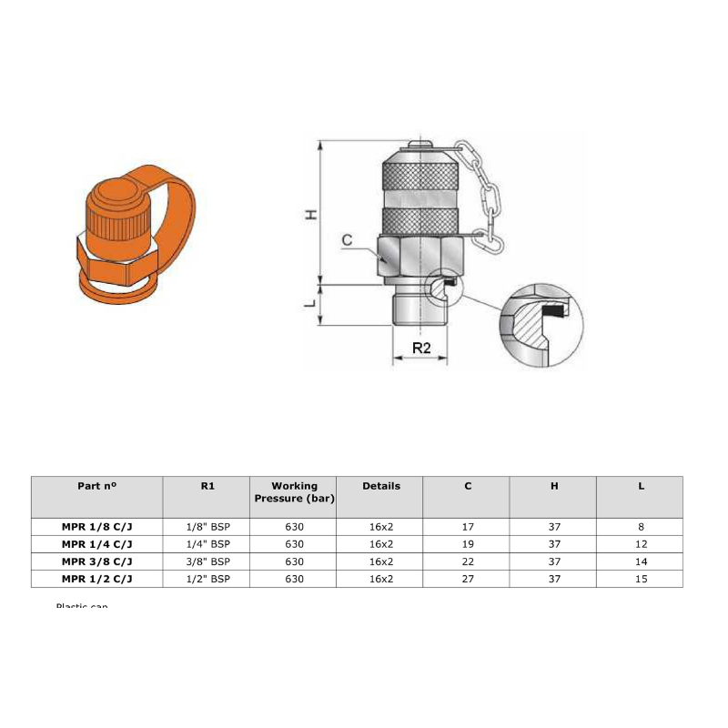 Đầu Kiểm Tra Áp Suất-Test Point.